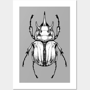 G's Rhino Beetle Posters and Art